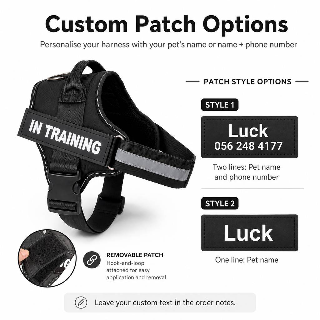 No-Pull Dog Harness - Comfortable, Secure & Easy to Fit