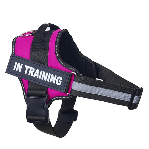 No-Pull Dog Harness - Comfortable, Secure & Easy to Fit