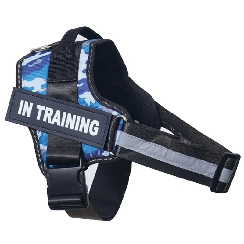 No-Pull Dog Harness - Comfortable, Secure & Easy to Fit