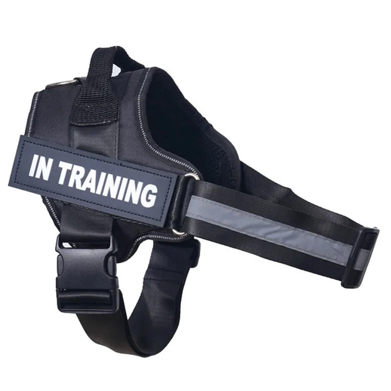 No-Pull Dog Harness - Comfortable, Secure & Easy to Fit