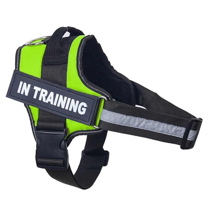 No-Pull Dog Harness - Comfortable, Secure & Easy to Fit