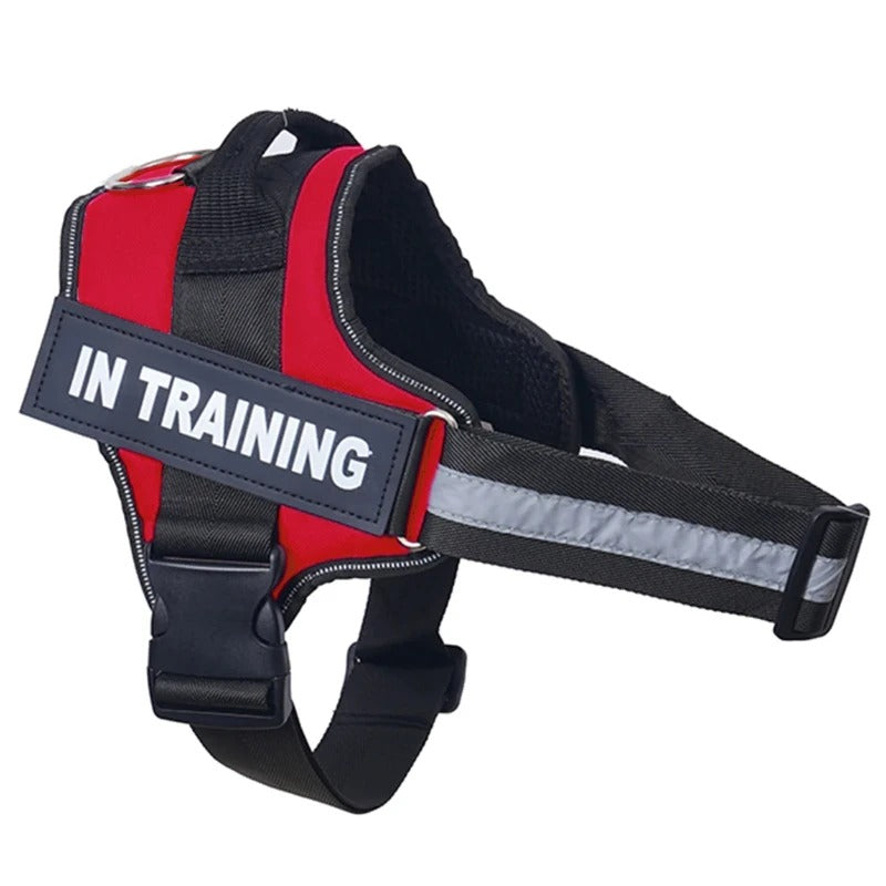 No-Pull Dog Harness - Comfortable, Secure & Easy to Fit