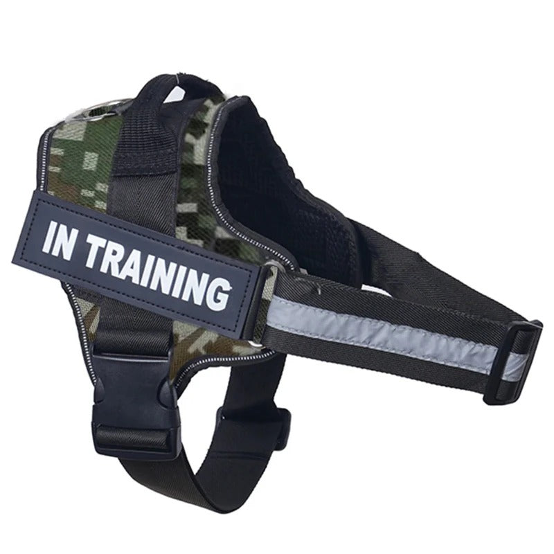 No-Pull Dog Harness - Comfortable, Secure & Easy to Fit