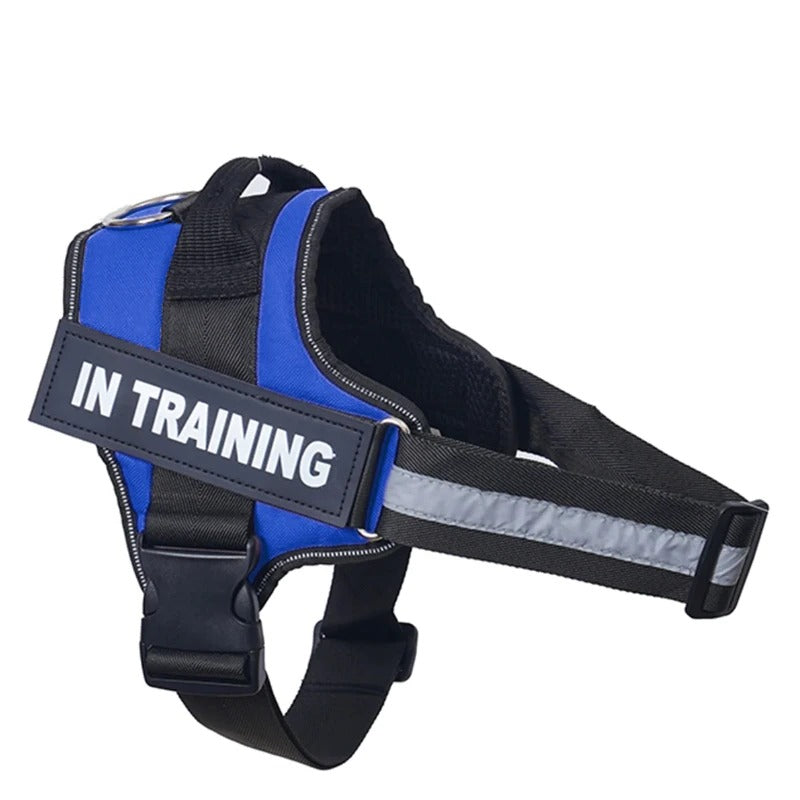 No-Pull Dog Harness - Comfortable, Secure & Easy to Fit
