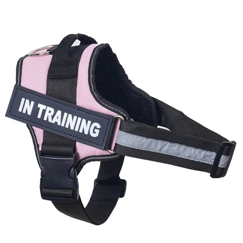 No-Pull Dog Harness - Comfortable, Secure & Easy to Fit