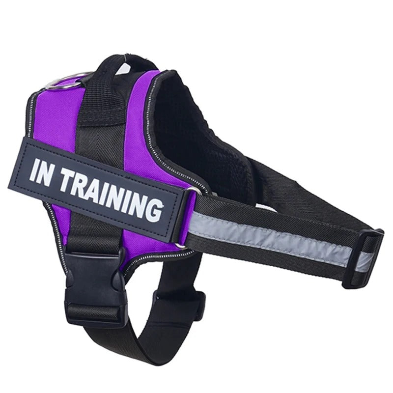 No-Pull Dog Harness - Comfortable, Secure & Easy to Fit