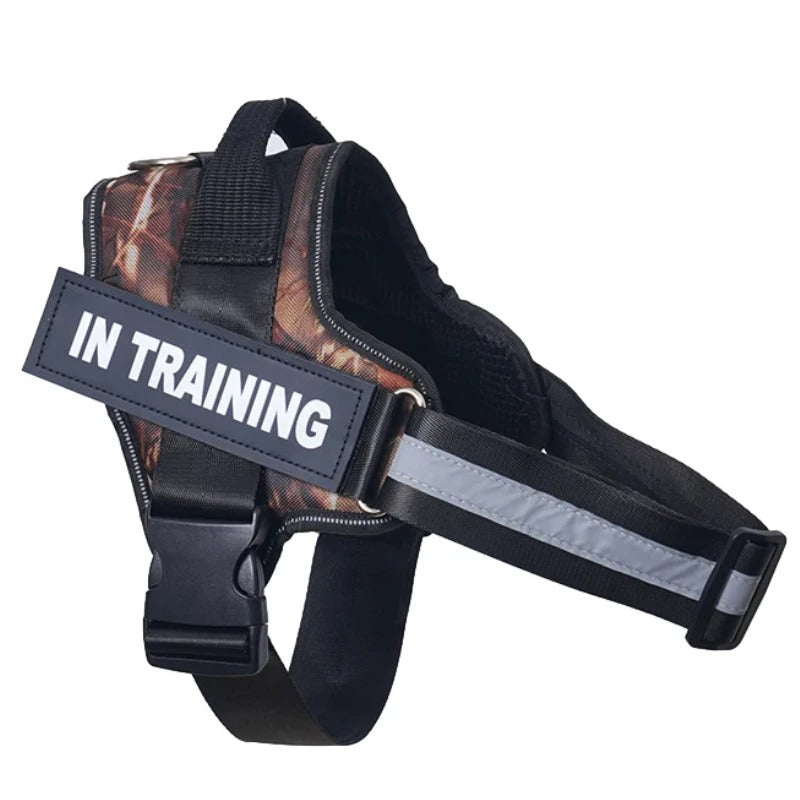 No-Pull Dog Harness - Comfortable, Secure & Easy to Fit